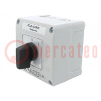 Switch: cam switch; Stabl.pos: 2; 10A; 0-1; flush mounting; Poles: 1