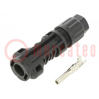 Connector: solar; male; 4÷6mm2; with contacts; crimped; SOLARLOK