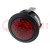 Contrôle: avec lampe néon; convexe; rouge; 230VAC; Ouv: Ø20mm; IP20