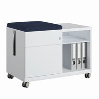 Bisley Sitzkissen für Note Caddy B 800 und T 490 mm, Farbe: LTH44 mood