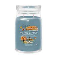 Yankee Candle 1743371E bougie en cire Cylindre Cardamone, Oud, Vanille Bleu 1 pièce(s)