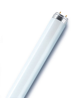 Osram Lumilux ampoule fluorescente 19 W G13 Blanc froid