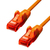 ProXtend V-6UTP-01O hálózati kábel Narancssárga 1 M Cat6 U/UTP (UTP)