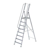 Aluminium step ladder