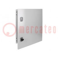 Enclosure: wall mounting; X: 400mm; Y: 500mm; Z: 250mm; CS; steel