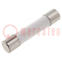 Fuse: fuse; quick blow; 12A; 250VAC; ceramic,cylindrical; 6.3x32mm