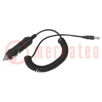 Car charger; Plug: plug for car lighter socket