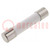 Fuse: fuse; quick blow; 8A; 250VAC; ceramic,cylindrical; 6.3x32mm