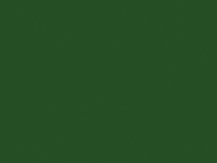 Krepppapier 50x250cm 32g Rolle dunkelgrün (2)