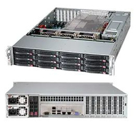 Ernitec SERVER-PX-I7-16-R12-HW servidor 250 GB Bastidor (2U) Intel® Core™ i7 4,9 GHz 16 GB DDR5-SDRAM 2400 W