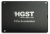 Western Digital Ultrastar SN100 2.5" 1,6 TB PCI Express 3.0 MLC