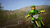 Microsoft Monster Energy Supercross 2 - Special Edition Speziell Xbox One