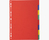 Exacompta 2008E divider Carton Multicolour