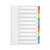 Q-Connect 10-Part Index Multi-punched Reinforced Board Multi-Colour Blank Tabs A