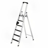 CLIP-STEP step ladder