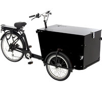 Bicicleta eléctrica de carga E-Cargo Pro