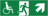 Notausgang-Schild - Grün, 20 x 65 cm, Aluminium, Für außen und innen, Weiß
