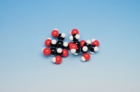 Molekülmodelle Makromoleküle organisch Molymod® | Typ: Polypeptid