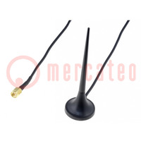 Antenne; 2000mm; Antenne: GSM