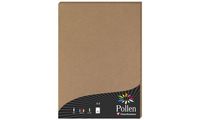 Pollen by Clairefontaine Kraftpapier, DIN A4, 120 g/qm (8016705)