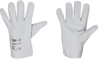 Handschuh, Nappaleder, Gr.10