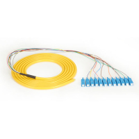 Black Box FOPT50S1-SC-12YL-3 cable de fibra optica 3 m Pigtail OS1 Amarillo