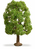 NOCH 20100 maßstabsgetreue modell ersatzteil & zubehör Baum