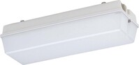 LED-Notleuchte IP65 SK I 131 L04 ZB