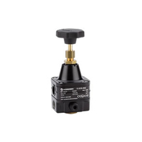 11-818-993 Precisie reduceer G1/4" 0.07-4 bar