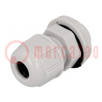Cable gland; PG9; IP68; polyamide; light grey; UL94V-2; GWconnect