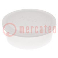 Fiche; Corps: demi-transparent; Diam.ext: 36,7mm; H: 12mm; Mat: LDPE