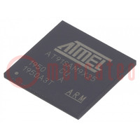 IC: ARM mikroprocesszor; ARM926; 0,9÷1,1VDC; SMD; LFBGA217; PWM: 4