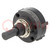 Switch: rotary; Pos: 4; SPDT; 2.5A/125VAC; 0.35A/125VDC; 90°; THT