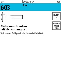 Flachrundschraube DIN 603 Vierkantansatz