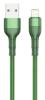 2GO 797310 Lightning-kabel 1 m Groen