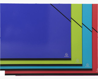 Exacompta 25829E fichier Carton Multicolore Raisin (500x650)