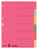 Leitz 43580000 lengüeta de índice Separador en blanco con pestaña Cartón Multicolor