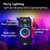 LG XL7S.DGBRLLK portable/party speaker 2.1 portable speaker system Black 250 W
