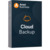 AVAST Business Cloud Backup (100-4000 GB) / 100GB