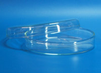Petrischale 80mm Glas