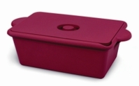 Cool Containers True North® PU Colour Red