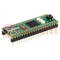 Dev.kit: Microchip PIC; PIC32; prototype board