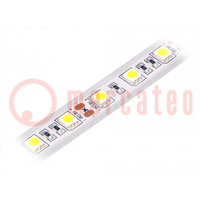 LED szalag; fehér hideg; 5050; 12V; LED/m: 60; IP65; 120°; 14,4W/m