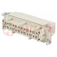 Connector: HDC; contact insert; female; Han® ESS; PIN: 24; 24+PE