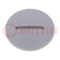 Stopper; PG13,5; polyamide; dark grey; Thread: PG; 6mm; 10pcs.