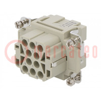 Connector: HDC; contact insert; female; DEE; PIN: 10; 10+PE; crimped