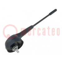 Antenna; car top; 0.19m; Alfa Romeo,Fiat,Lancia; universal