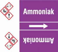 Rohrmarkierungsband mit Gefahrenpiktogramm - Ammoniak, Violett, 10.5 x 12.7 cm