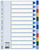 Plastikregister Blanko, A4, PP, 12 Blatt, farbig