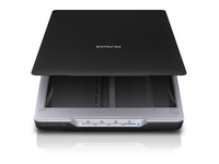 Epson Perfection V19 Flatbed scanner 4800 x 4800 DPI A4 Zwart